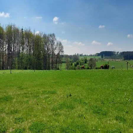 Spacious In With Garden, Cleaning Included * Gouvy